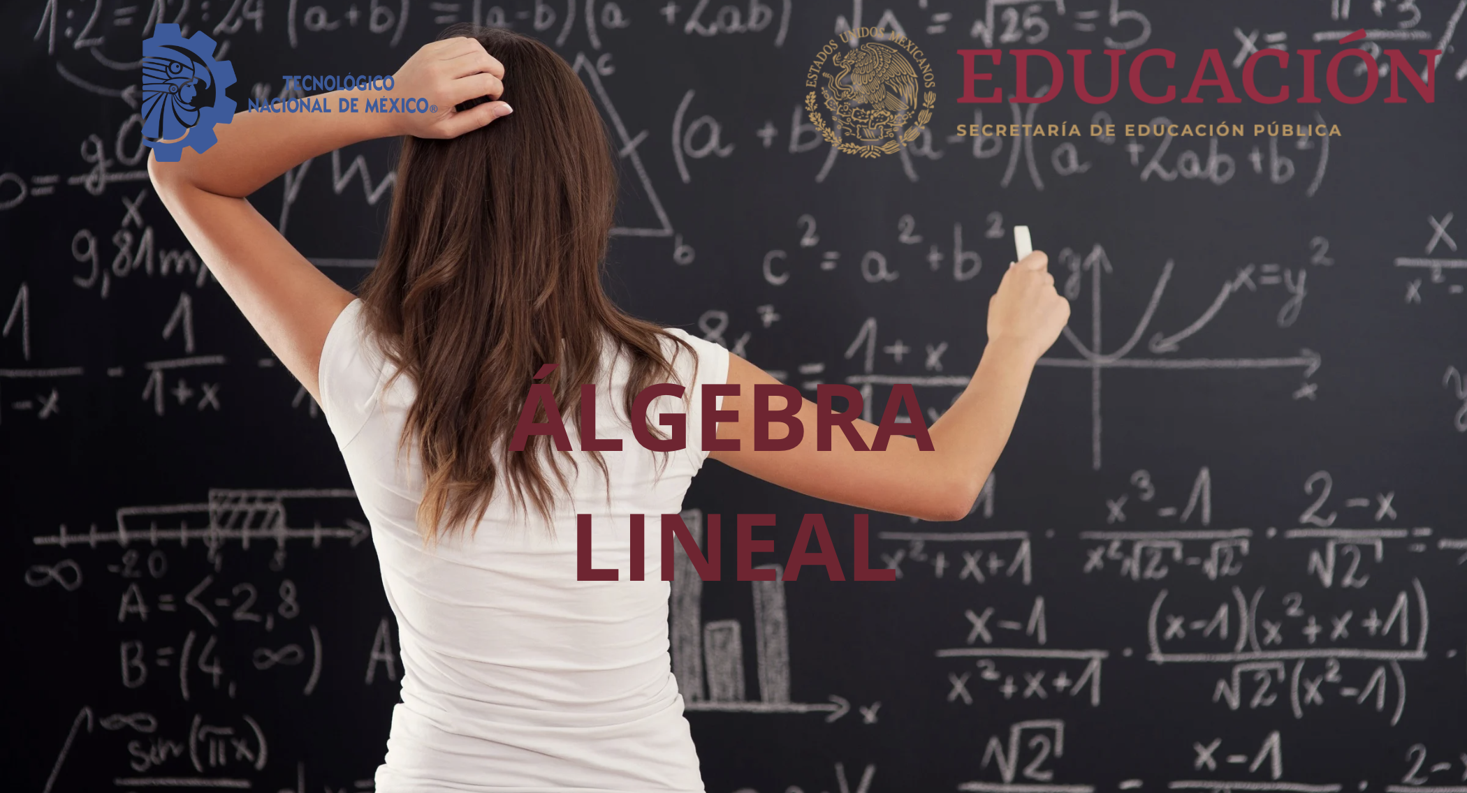 Álgebra Lineal AL01-002